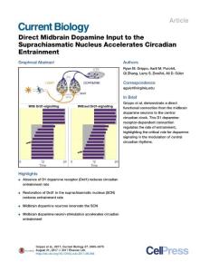 Current-Biology_2017_Direct-Midbrain-Dopamine-Input-to-the-Suprachiasmatic-Nucleus-Accelerates-Circadian-Entrainment