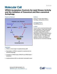 Molecular-Cell_2017_VPS34-Acetylation-Controls-Its-Lipid-Kinase-Activity-and-the-Initiation-of-Canonical-and-Non-canonical-Autophagy