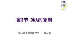 DNA的复制