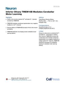 Neuron_2017_Inferior-Olivary-TMEM16B-Mediates-Cerebellar-Motor-Learning