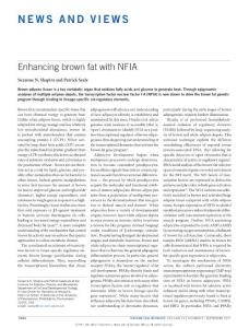 ncb3591-Enhancing brown fat with NFIA