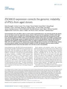 ncb3598-ZSCAN10 expression corrects the genomic instability of iPSCs from aged donors