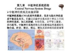 中山大学药理学课件 第八章 中枢神经系统药物