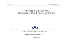 并購的可行性報告(正稿)