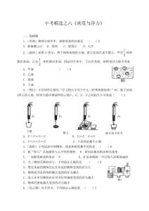 2010年中考精选之六《密度与浮力》