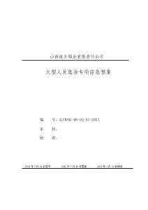 大型集會(huì)活動(dòng)安全應(yīng)急預(yù)案.doc