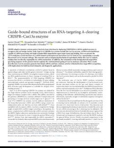 nsmb.3466-Guide-bound structures of an RNA-targeting A-cleaving CRISPR–Cas13a enzyme