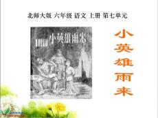 （北师大版）六年级语文上册课件 小英雄雨来