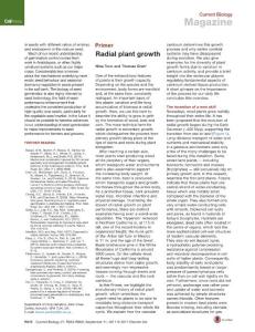 Current-Biology_2017_Radial-plant-growth