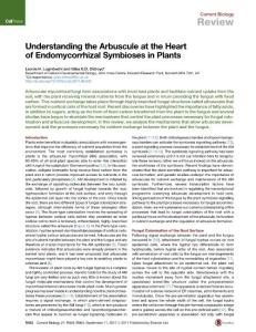 Current-Biology_2017_Understanding-the-Arbuscule-at-the-Heart-of-Endomycorrhizal-Symbioses-in-Plants