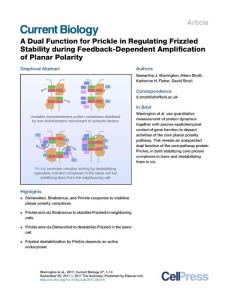 Current-Biology_2017_A-Dual-Function-for-Prickle-in-Regulating-Frizzled-Stability-during-Feedback-Dependent-Amplification-of-Planar-Polarity