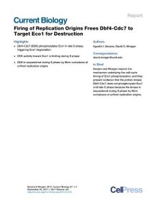 Current-Biology_2017_Firing-of-Replication-Origins-Frees-Dbf4-Cdc7-to-Target-Eco1-for-Destruction