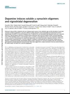 nn.4641-Dopamine induces soluble α-synuclein oligomers and nigrostriatal degeneration