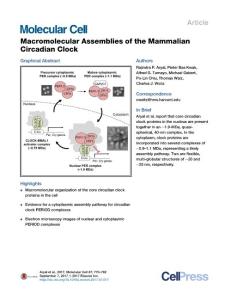Molecular-Cell_2017_Macromolecular-Assemblies-of-the-Mammalian-Circadian-Clock