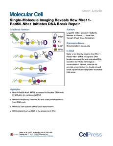 Molecular-Cell_2017_Single-Molecule-Imaging-Reveals-How-Mre11-Rad50-Nbs1-Initiates-DNA-Break-Repair