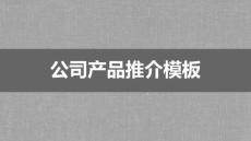 （精品）灰綠配色公司產(chǎn)品推介通用ppt模板