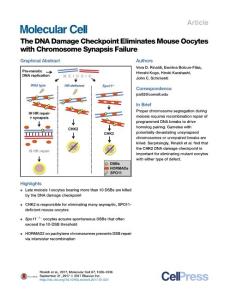 The-DNA-Damage-Checkpoint-Eliminates-Mouse-Oocytes-with-Chromosome-Synapsis-Failure_2017_Molecular-Cell