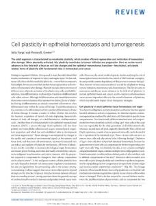 ncb3611-Cell plasticity in epithelial homeostasis and tumorigenesis