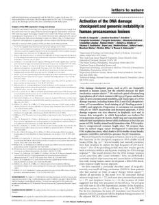 nature03485Activation of the DNA damage