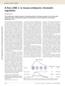 ng.3960-A fine LINE-1 in mouse embryonic chromatin regulation
