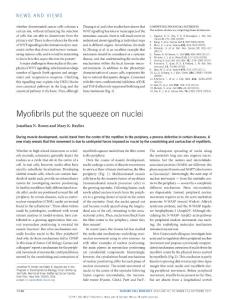 ncb3618-Myofibrils put the squeeze on nuclei