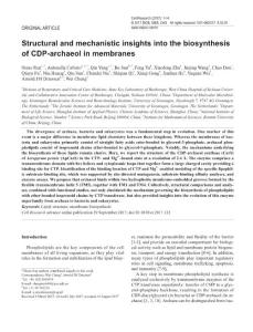 cr2017122a-Structural and mechanistic insights into the biosynthesis of CDP-archaeol in membranes