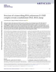 nsmb.3465-Structure of a transcribing RNA polymerase II–DSIF complex reveals a multidentate DNA–RNA clamp