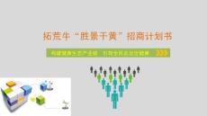 勝景干黃招商計(jì)劃書