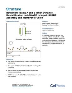 Structure_2017_Botulinum-Toxins-A-and-E-Inflict-Dynamic-Destabilization-on-t-SNARE-to-Impair-SNARE-Assembly-and-Membrane-Fusion
