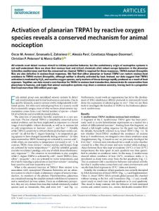 nature neuroscience-2017-Activation of planarian TRPA1 by reactive oxygen species reveals a conserved mechanism for animal nociception