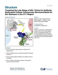Targeting-the-Late-Stage-of-HIV-1-Entry-for-Antibody-Dependent-Cel_2017_Stru