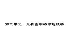 2010中考生物课件三单元生物圈中的绿色植物苏教版