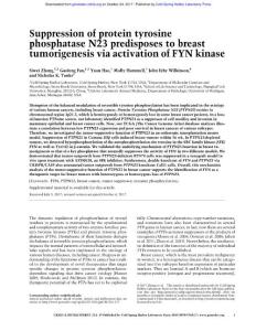Genes Dev.-2017-Zhang-Suppression of protein tyrosine phosphatase N23 predisposes to breast tumorigenesis via activation of FYN kinase
