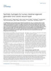 ncb3632-Synthetic hydrogels for human intestinal organoid generation and colonic wound repair