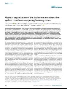 nn.4642-Modular organization of the brainstem noradrenaline system coordinates opposing learning states