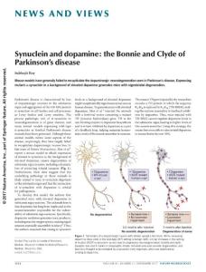 nn.4660-Synuclein and dopamine- the Bonnie and Clyde of Parkinson´s disease
