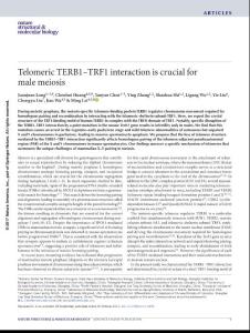 nsmb.3496-Telomeric TERB1–TRF1 interaction is crucial for male meiosis