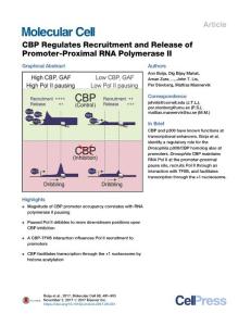 CBP-Regulates-Recruitment-and-Release-of-Promoter-Proximal-R_2017_Molecular-