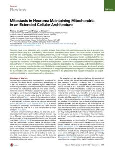 Mitostasis-in-Neurons--Maintaining-Mitochondria-in-an-Extended-Cel_2017_Neur