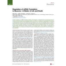 Regulation-of-mRNA-Translation-in-Neurons-A-Matter-of-Life-and-De_2017_Neuro