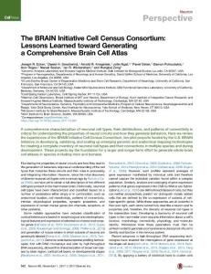 The-BRAIN-Initiative-Cell-Census-Consortium--Lessons-Learned-toward_2017_Neu