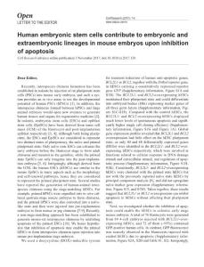 cr2017138a-Human embryonic stem cells contribute to embryonic and extraembryonic lineages in mouse embryos upon inhibition of apoptosis