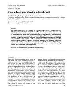 Virus-induced gene silencing in tomato fruit