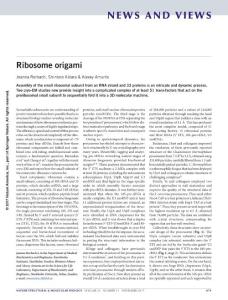 nsmb.3497-Ribosome origami