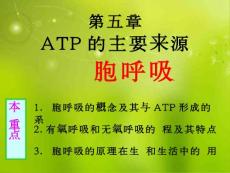 5.3 ATP的主要来源 细胞呼吸 课件5 新人教版必修1