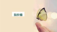 脑肿瘤ppt课件