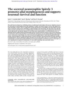 Genes Dev.-2017-Coutinho-Budd-The secreted neurotrophin Spätzle 3 promotes glial morphogenesis and supports neuronal survival and function