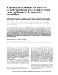 Genes Dev.-2017-Wang-A cytoplasmic COMPASS is necessary for cell survival and triple-negative breast cancer pathogenesis by regulating metabolism