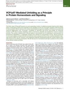 VCP-p97-Mediated-Unfolding-as-a-Principle-in-Protein-Homeost_2017_Molecular-