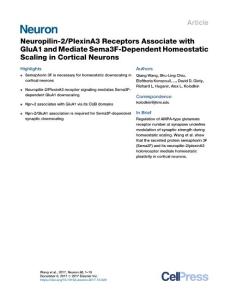 Neuropilin-2-PlexinA3-Receptors-Associate-with-GluA1-and-Mediate-Se_2017_Neu